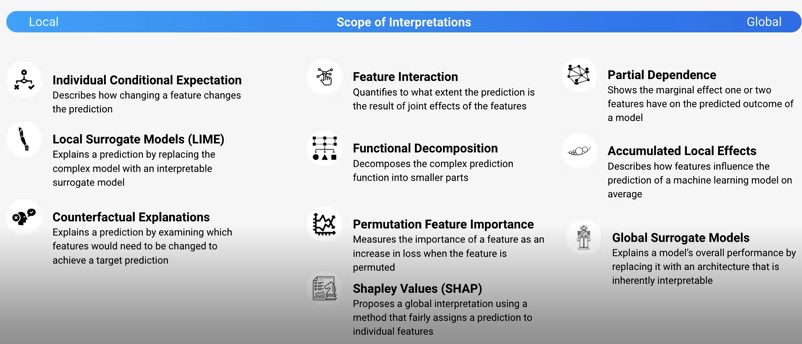 Pic of scope of interpreation